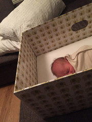 Finnish-style baby box photo