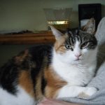 Another Test Anxiety Killer, Physician Bias, and Suspicious Meat