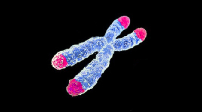 The Laws that are Shrinking the Telomeres of OB/Gyn Residents