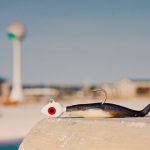 Cracking Open the Firehose