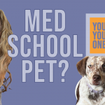 Why Having a Pet in Med School is a Good Idea