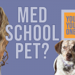 Why Having a Pet in Med School is a Good Idea (Recess Rehash)